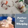 Artilife Dog Whelping Box Pool,Whelping Box for Dogs Birthing,Whelping Pen