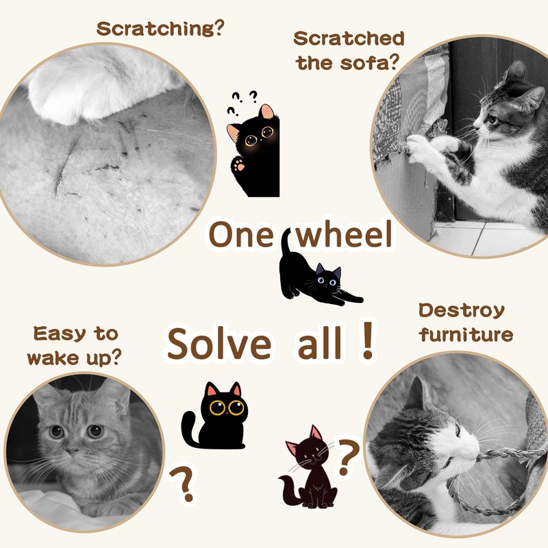 Cat Exercise Wheel, Cat Wheels for Indoor Cats