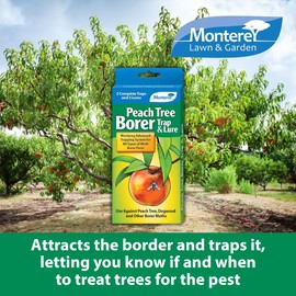 Monterey Peach Tree Borer Trap & Lure - 2 Pack