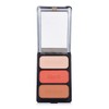 Cargo Contour Palette # Monaco 3x6g/0.21oz / 카고 컨투어 팔레트