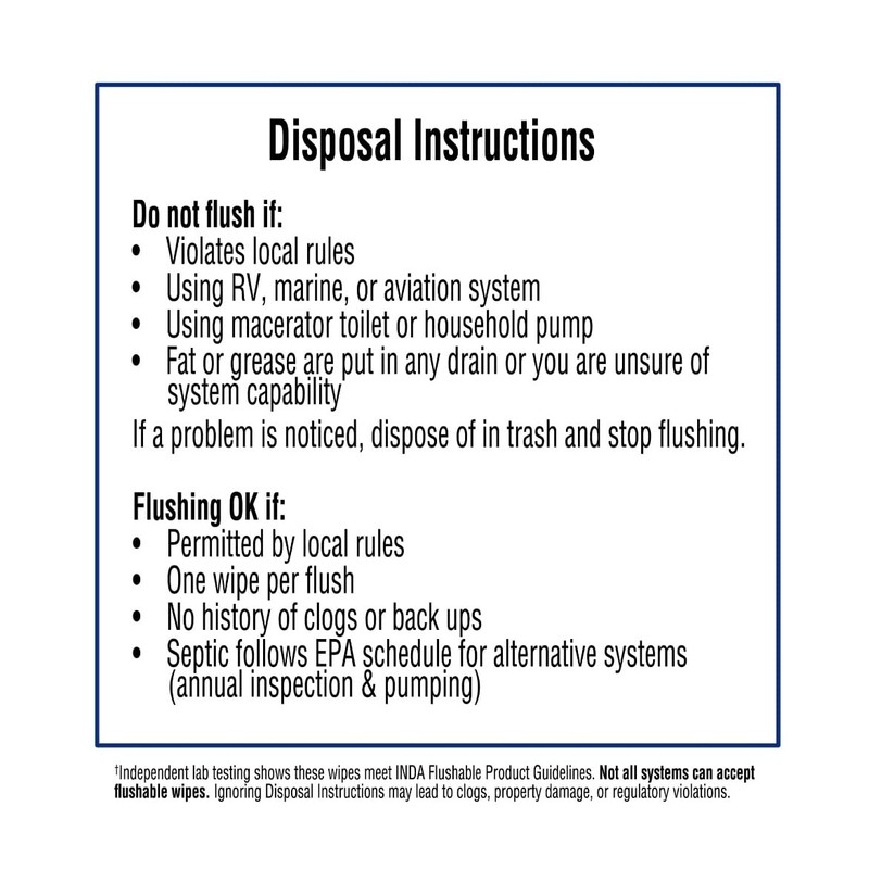 Equate Flushable Wipes, Fresh Scent, 240 Ct