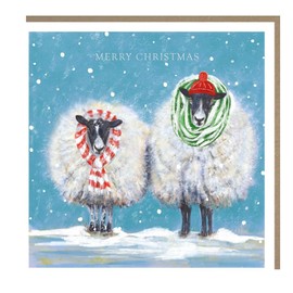 Tracks Publishing Charity Christmas Cards Pack of 5 - Charity Christmas Cards 2024 with Sheep in Woolly Scarves Design - Eco-Friendly Xmas Cards Multipack with Envelopes
