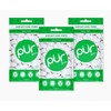 PUR Xylitol Chewing Gum SPEARMINT (55 Pieces, 3 Pack) Sugarless