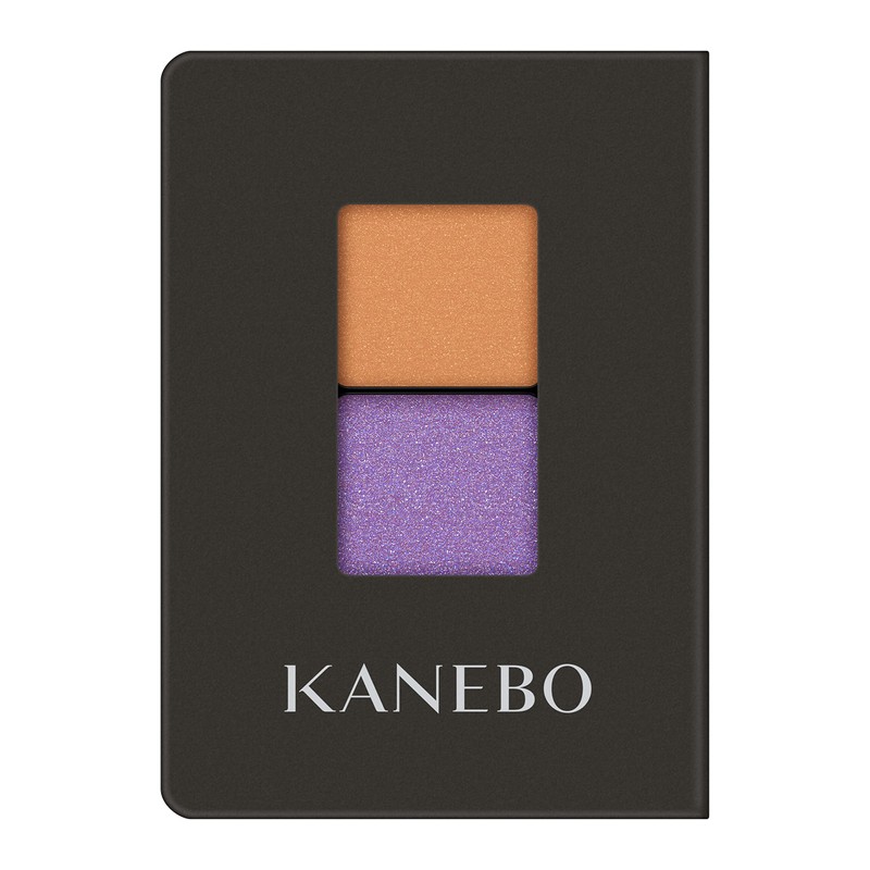 Kanebo EX8 Eye Color Duo