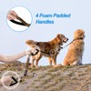 PetBonus Double Dog Leash, No Tangle Dual Leash, Reflective Walking