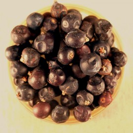 Juniper Berries (16 oz)