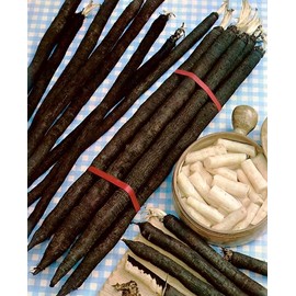 KIRA SEEDS - Seeds Oyster Plant Black Root - Salsify Scorzonera - Heirloom Vegetable - GMO Free