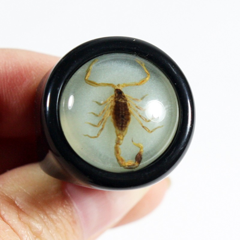 REALBUG Golden Scorpion Black Ring Size 6