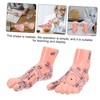 SAFIGLE Foot Massage Model for Acupoint Teaching Realistic Display Lifelike