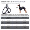 AIITLE No Pull Small Dog Harness and Leash Set -