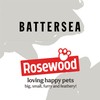 Rosewood Battersea Bugs Snail Teaser, Cat Teaser Wand, For Cats