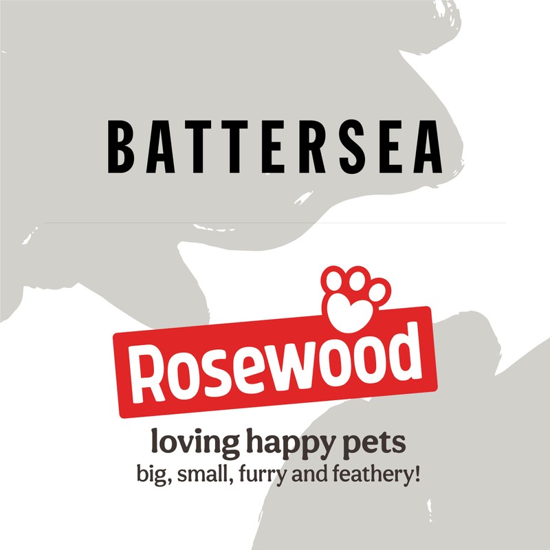 Rosewood Battersea Bugs Snail Teaser, Cat Teaser Wand, For Cats