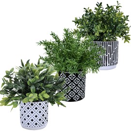 Winlyn 3-Pack Artificial Potted Plants - Faux Eucalyptus, Rosemary, Boxwood Greenery in Small Black & White Geometric Concrete Pots -Desk, Table, Shelf, Windowsill Decor for Indoor Outdoor Home Office