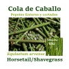 MAJCKA4 COLA DE CABALLO ½ oz. ENTERO Hierbas HORSETAIL SHAVEGRASS