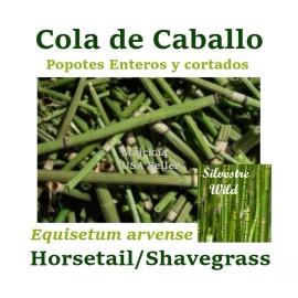 MAJCKA4 COLA DE CABALLO ½ oz. ENTERO Hierbas HORSETAIL SHAVEGRASS Herb teas Herbal