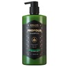 Organist Shampoo Peppermint Dandruff Cooling 500ml 2pcs / 오가니스트 샴푸