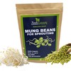 Premium Mung Bean Sprouting Seeds – Non GMO- Seeds come