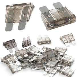 Gaoekoius 50pcs 2A Automotive Stand Blade Fuse Standard Blade Type Fuse Replacement for Car/RV/Truck/Motorcycle/Boat