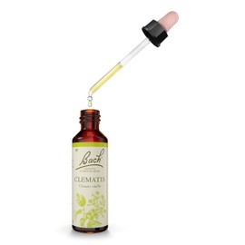 Batch Flower Virgin's Bower Alcohol Base 20ml