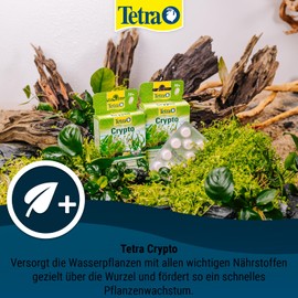 Tetra Crypto Düngetabletten - für üppige und gesunde Wurzelbildung der Wasserpflanzen im Aquarium, 30 Tabletten