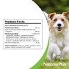 NaturesPlus FurBaby Probiotic for Dogs - 9.5 oz - Supports