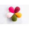 Except Makeup 5 Pcs Makeup Blender Beauty Sponge Set -