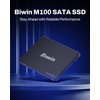 BIWIN M100 SATA SSD 256GB, 2.5" Internal SSD, Up to