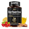 Lsoiux Berberina Liposomal 1500mg Con Canela 120 Cápsulas