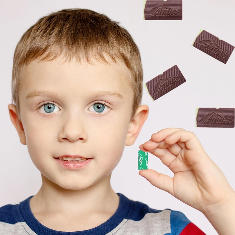 Chocolate Thin Mints, Rectangular Chocolate Sandwich Mint Candies, Mint Candies,