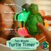 Kids Toothbrush Timer Light Up 30 Sec Turtle Flippers 2