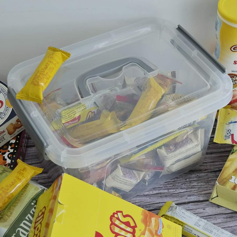 Neadas 6 Quart Plastic Storage Containers with Lids and Handles,