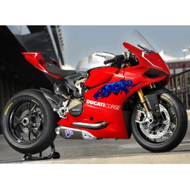 Dragon Crotch Rocket Full Color Decal, Bike Side Graphics, Dragon Motorcycle Vinyl, Dragon Bike Side Graphics (18x60)