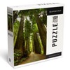 Lantern Press Redwood Forest Road Photography A-91535, 1000 Piece Jigsaw