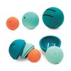 Ludi Ball in Ball