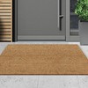 Coconut Palm Foot Exfoliating Mat 120cm Hotel Entrance Door