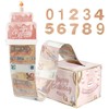Money Gift Box,Birthday Money Box Cash Gift Pull,Money Gift Ideas,Surprise