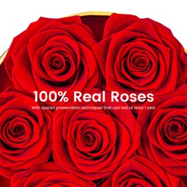 Beaulasting Roses Preserved Roses in a Box Long Lasting Roses Last a Year Forever Romantic Gifts for Her Mother's Day Valentine's Day Anniversary Birthday (Round Black and Gold Box, 7 Red Roses)