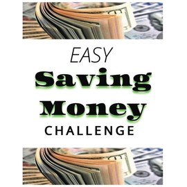 The Saving Money Challenge: Easy, Fun, Save $1000, $500, $300, $100 | Budget Planner & Organizer | Spring, Summer, Fall, Winter Saving Activities | Words of Motivation and Fun Facts