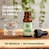 ORE Aceite de Orégano Silvestre, 10ml, 80% Carvacrol, Suplemento Aceite