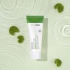 Paul Madison All-in-One Cica Snail Cream 100ml, 1 pc /