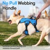 rabbitgoo Escape-Proof Dog Harness Medium with Large Handle, Adjustable No