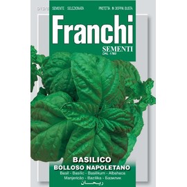 Franchi Basil Bolloso Napoletano