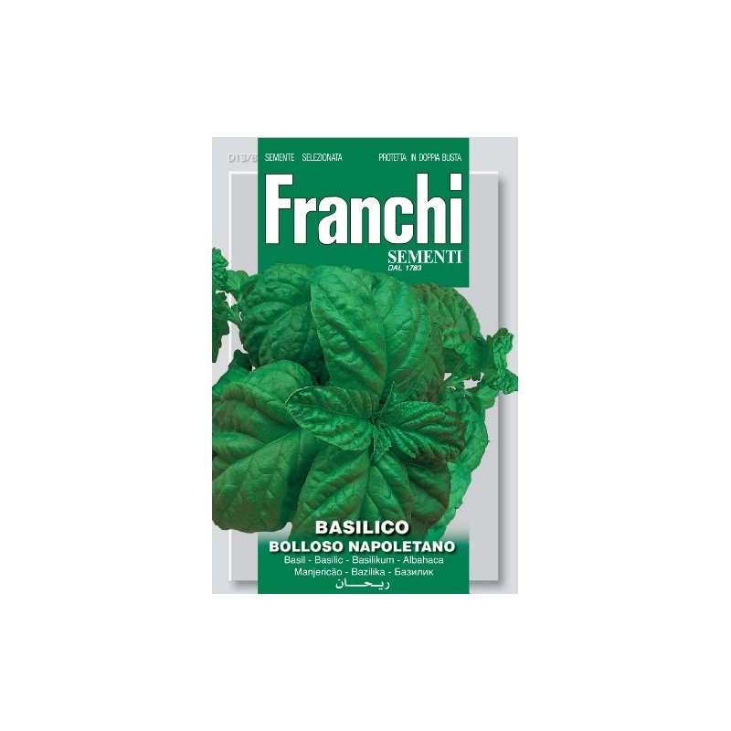 Franchi Basil Bolloso Napoletano