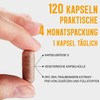 OPC 95% Traubenkern Extrakt Kapseln - 120 x Stück |