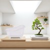 Clear Mini Bathtub Sundries Storage Box Jewelry Storage Box Makeup