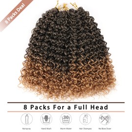 8 Packs 18 inch Curly Crochet Hair for Black Women Water Wave Crochet Hair Curly Braiding Hair GoGo Curl Crochet Hair Ocean Wave Beach Curl Wavy Crochet Hair Extensions (Pack of 8, 1B/27#)