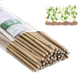 Plant Bamboo Post,6Feet,Bamboo Garden Stakes,50PcsBamboo Stakes,for Tomato,Beans,Vegetable and Flowers, Potted Plants,Indoor and Outdoor Climbing Plants