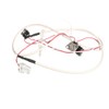 Rinnai Thrmal Fuse w/Wire Harness Assembly RU80/98-105000175