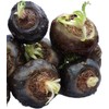 Nature Garden 25 Seeds of Black Maca Seeds, Ginseng Superfood,