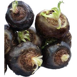 Nature Garden 25 Seeds of Black Maca Seeds, Ginseng Superfood, Easy to Grow !